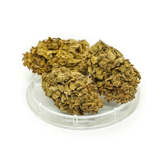 Konopie CBD Kwiaty Orange Bud 1g