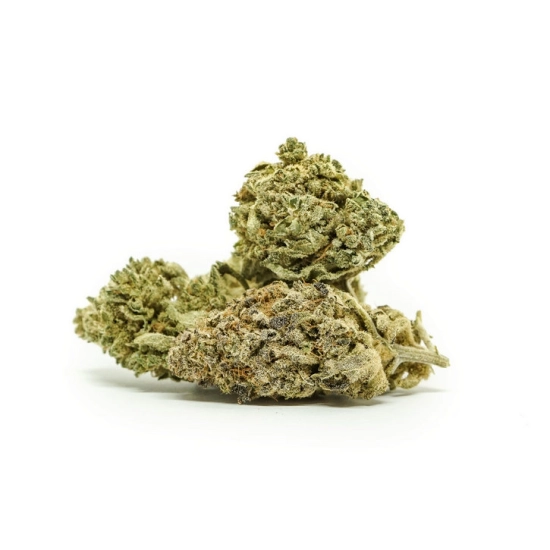 Silver Bud  kwiaty konopi włóknistej CBD 1g