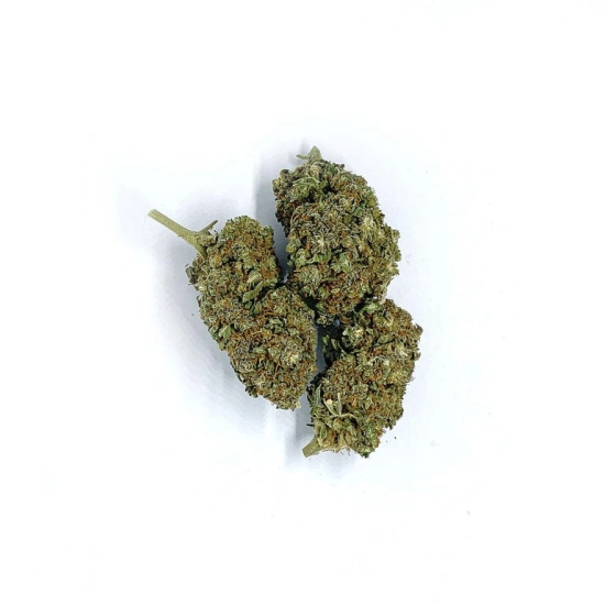 Super Jamaica to susz konopny do palenia i waporyzacji od Sativa Poland