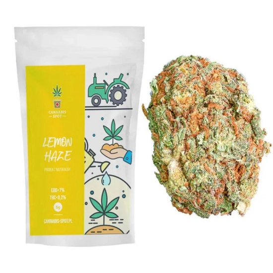 Susz CBD Lemon Haze Cannabis Spot