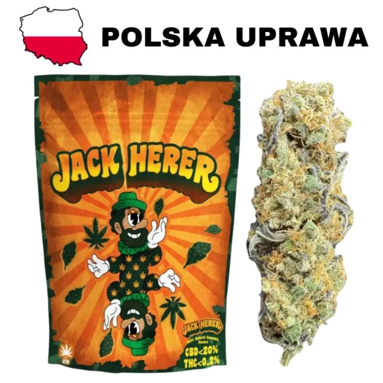 Susz konopny CBD Jack Herer