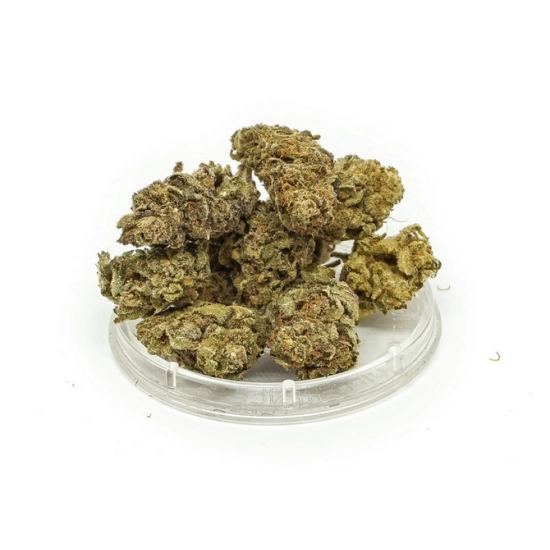 Sweet Amnesia premium buds susz CBD 2g