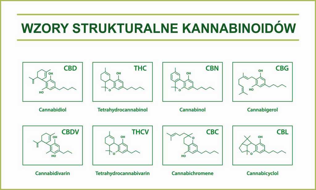 Wrór strukturalny kannabinoidów w konopi